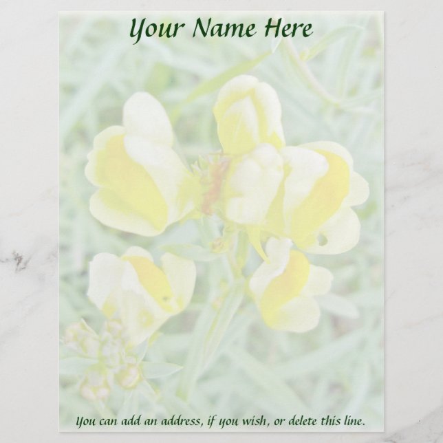 Butter 'n Eggs Wildflower Letterhead (Front)