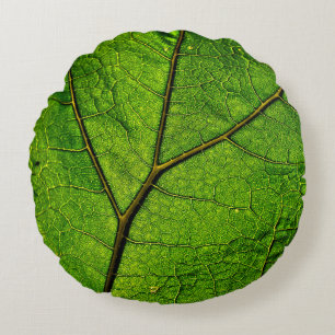 Butterbur leaf leaf veins green round pillow
