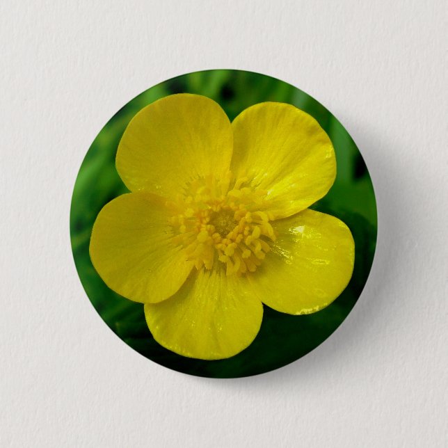 Buttercup 2 Inch Round Button (Front)