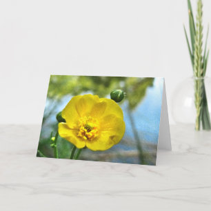 Buttercup at the Pond Note Card