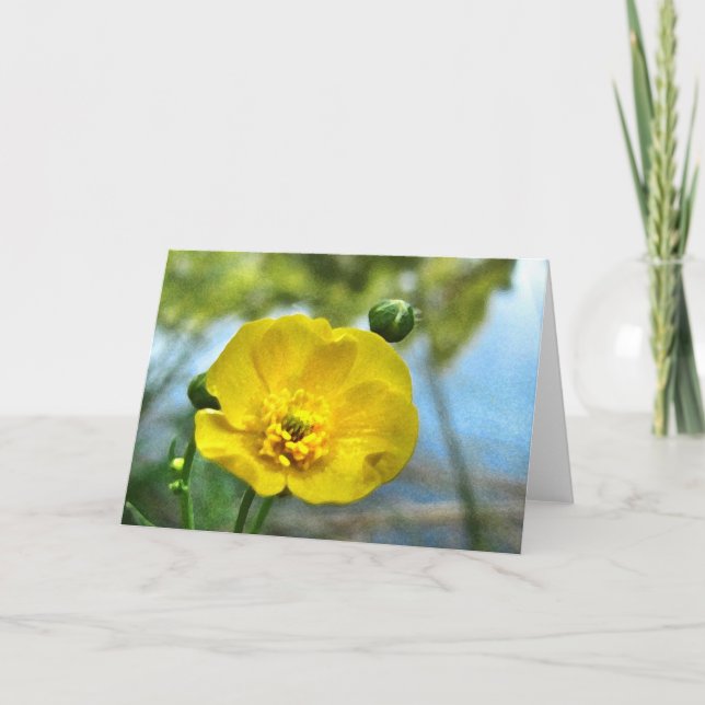 Buttercup at the Pond Note Card (Front)