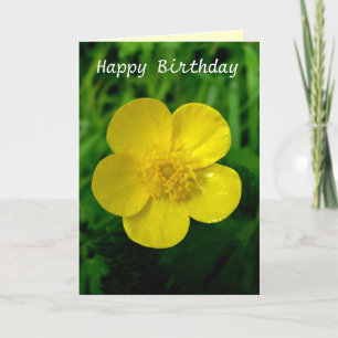 Buttercup - Birthday Card