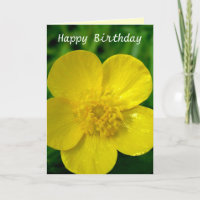 Buttercup - Birthday - Customized