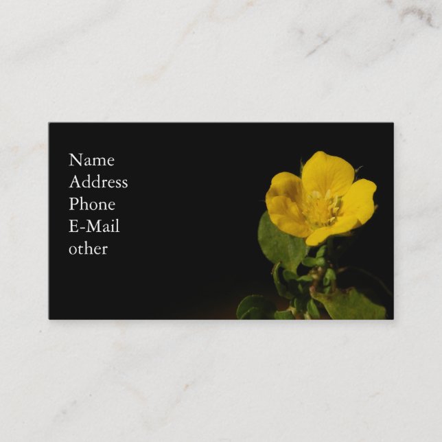 Buttercup ~ Biz card (Front)