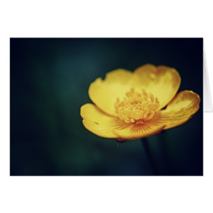 Buttercup Card
