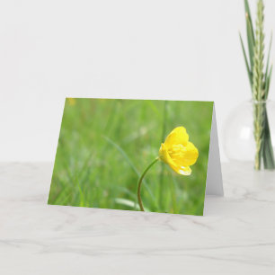 buttercup card