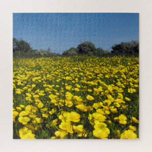 Buttercup Field Jigsaw Puzzle