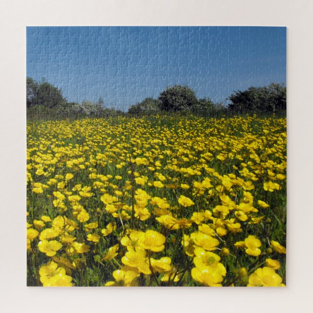 Buttercup Field Jigsaw Puzzle (Vertical)