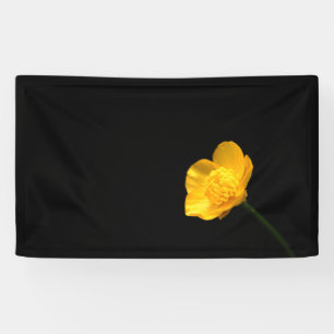 Buttercup Flower bnrcn Banner
