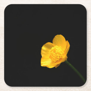 Buttercup Flower coastercna Square Paper Coaster