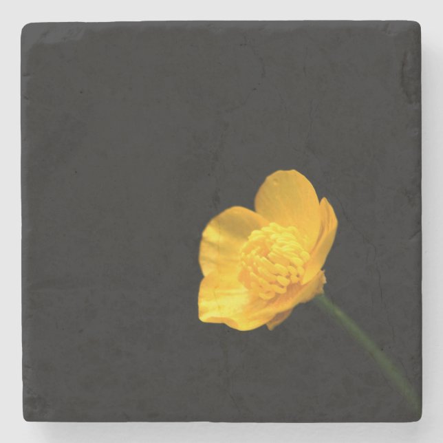 Buttercup Flower coasterm Stone Coaster (Front)