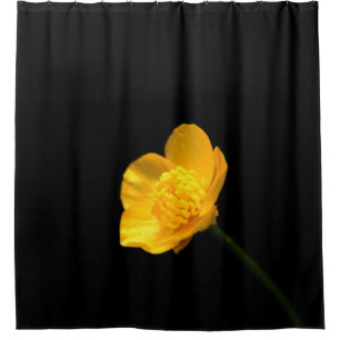 Buttercup Flower sccn