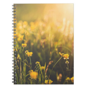 Buttercup Sundown Notebook