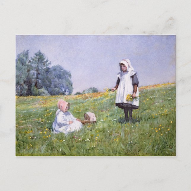 Buttercups and Daisies Postcard (Front)