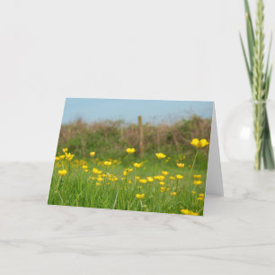 Buttercups Card