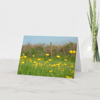 Buttercups Card