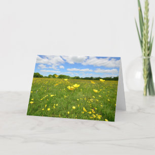 Buttercups in English Meadow Card