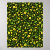 Buttercups on black
