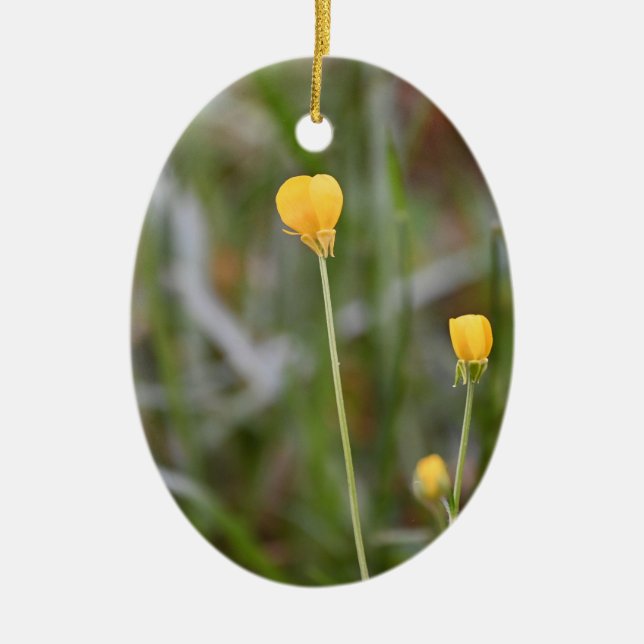 Buttercups Photo Ornament  (Front)