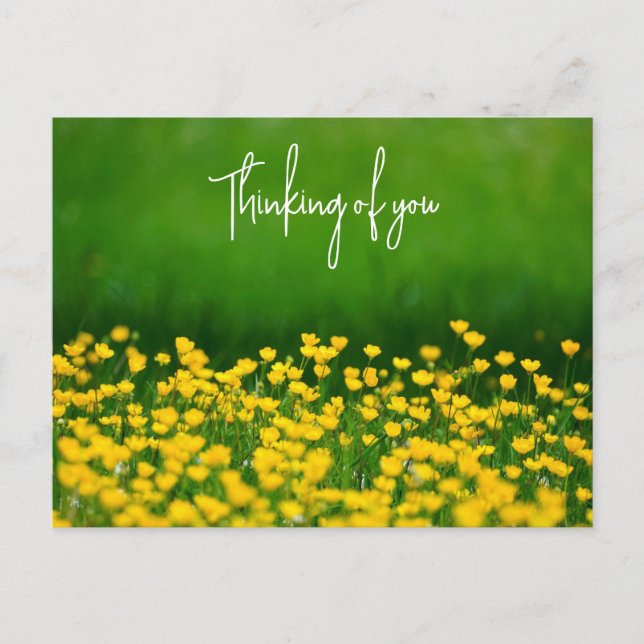 Buttercups | Thinking of you Postcard (Front)