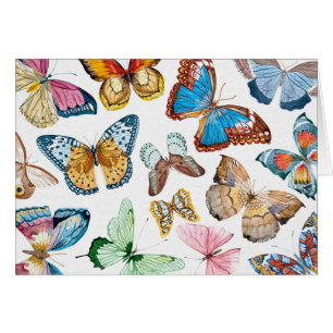 Butterflies