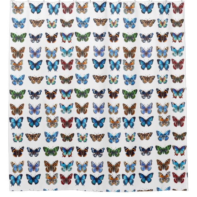 Butterflies (Front)
