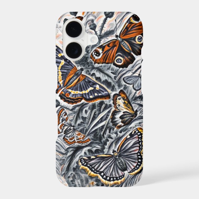 Butterflies (Back)