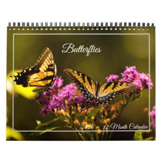 Butterflies 12 Month Calendar