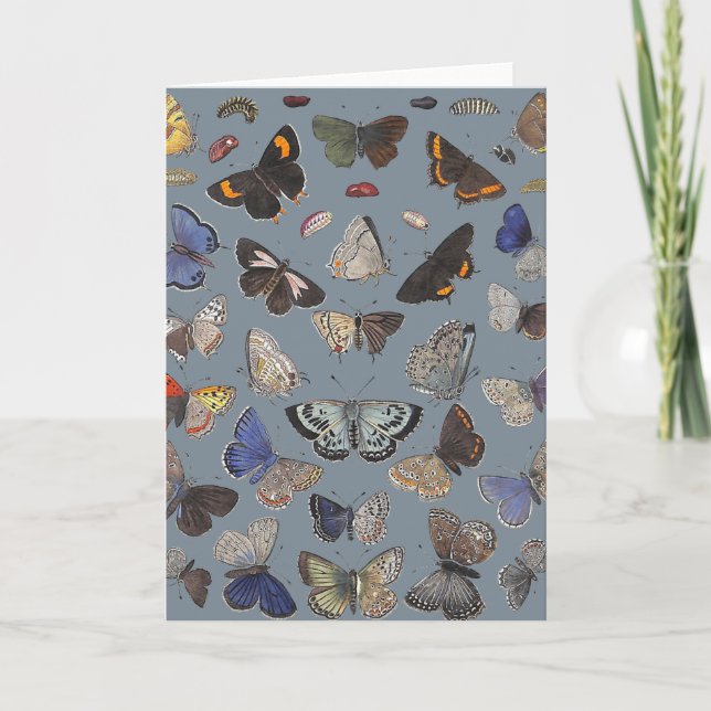 Butterflies, 1842 card (Front)