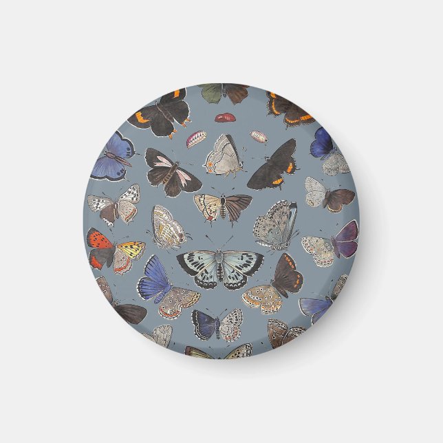 Butterflies, 1842 magnet (Front)