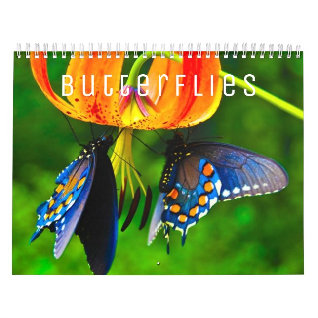 Butterflies [1] Wall Calendar (Cover)