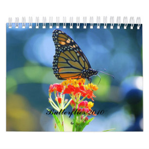 Butterflies 2010 Calendar