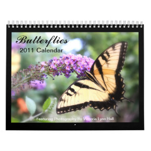 Butterflies 2011 Calendar