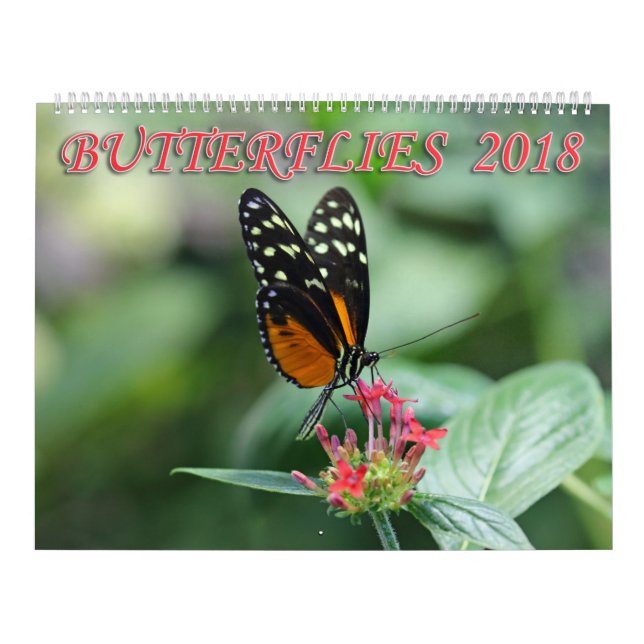 Butterflies 2018 calendar (Cover)