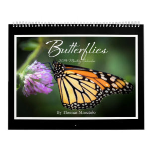 Butterflies 2019 Monthly Calendar By Tom Minutolo
