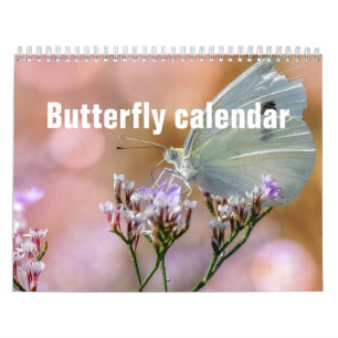 Butterflies 2025 calendar