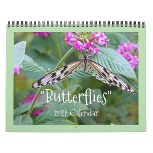 "BUTTERFLIES" 2026 CALENDAR