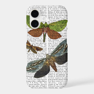 Butterflies 4