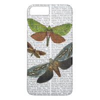 Butterflies 4