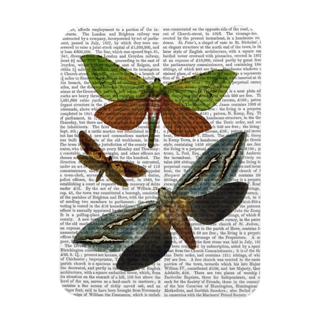 Butterflies 4 magnet (Vertical)