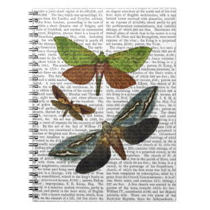 Butterflies 4 notebook