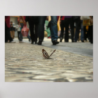 Butterflies and cobbled roads poster