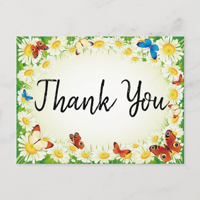 Butterflies and Daisies Postcard (Front)