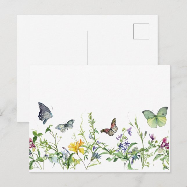   Butterflies and flower blossoms Postcard (Front/Back)