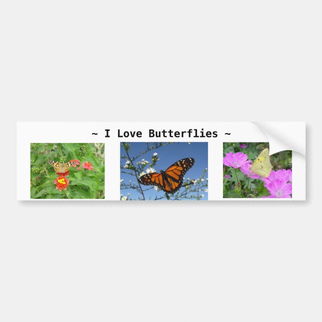 Butterflies and flowers Bumper Sticker (Front)