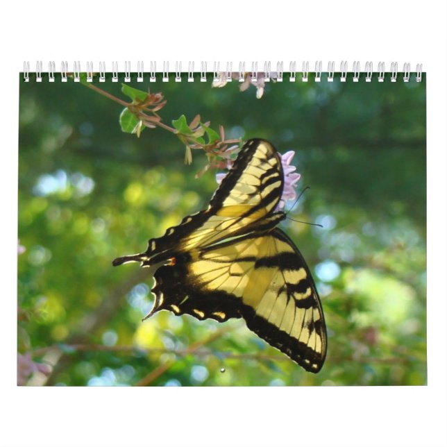 Butterflies and Flowers Calendar (Cover)