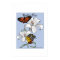 Butterflies and Flowers Poster