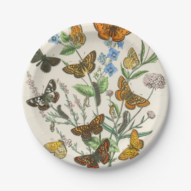 Butterflies and Flowers Vintage Illustration 1 Paper Plate (Front)