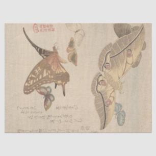 Butterflies and Moths by Kubo Shunman Tissue Paper