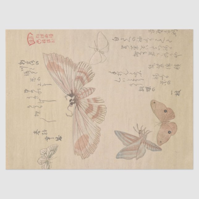 Butterflies and Moths by Kubo Shunman Tissue Paper (Front)